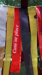 235117384_890534418484873_2093225865951028882_n