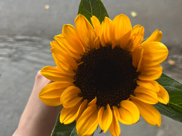 Ne-am despărțit. Și acum ce?